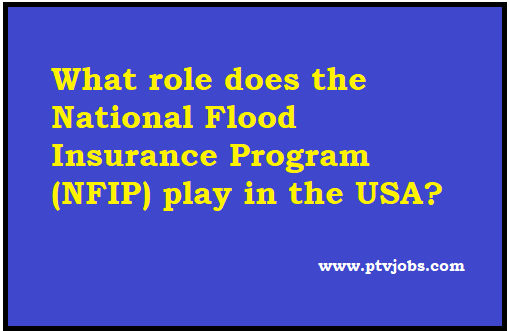 What role does the National Flood Insurance Program (NFIP) play in the USA?